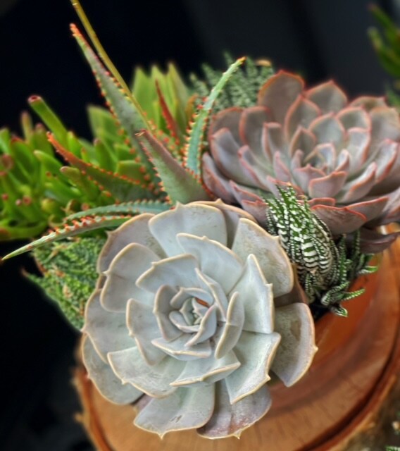 About Prescott's Florist, LLC Laconia, NH Florist